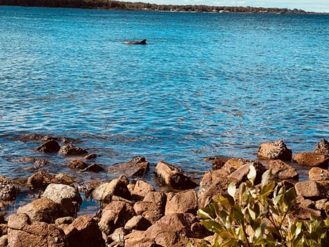 Tranquil Escape - Koala Hotspot - 2 Bed 2 Bath Apt Spectacular Sea Views Soldiers Point Exterior foto